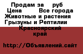 Продам за 50 руб. › Цена ­ 50 - Все города Животные и растения » Грызуны и Рептилии   . Красноярский край